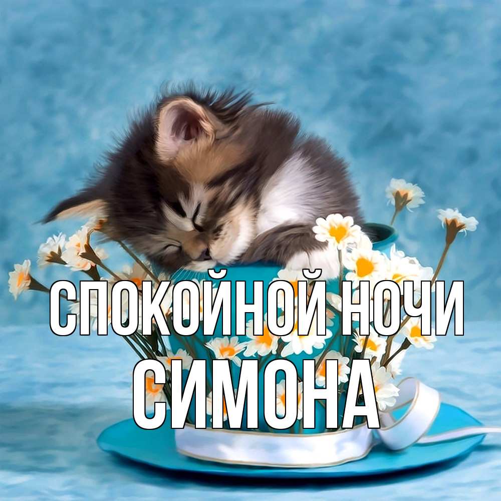 Открытка на каждый день с именем, Симона Спокойной ночи котенок спит в кружке с блюдцем Прикольная открытка с пожеланием онлайн скачать бесплатно 