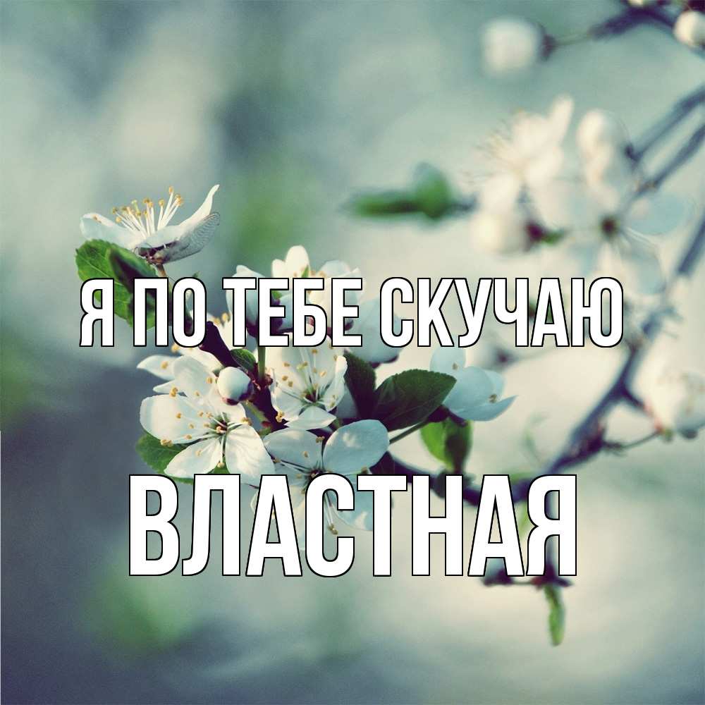Открытка на каждый день с именем, властная Я по тебе скучаю весна Прикольная открытка с пожеланием онлайн скачать бесплатно 