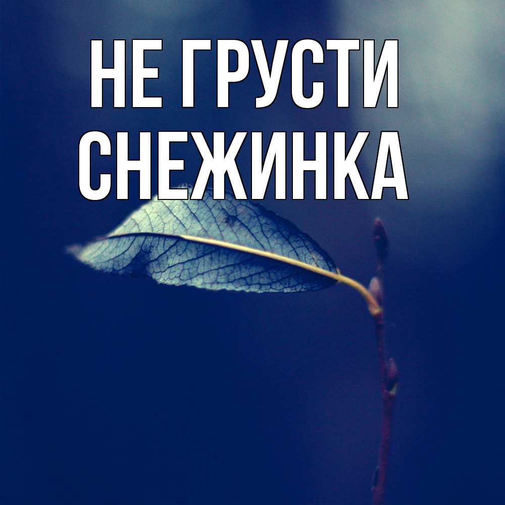 Открытка на каждый день с именем, Снежинка Не грусти растение Прикольная открытка с пожеланием онлайн скачать бесплатно 