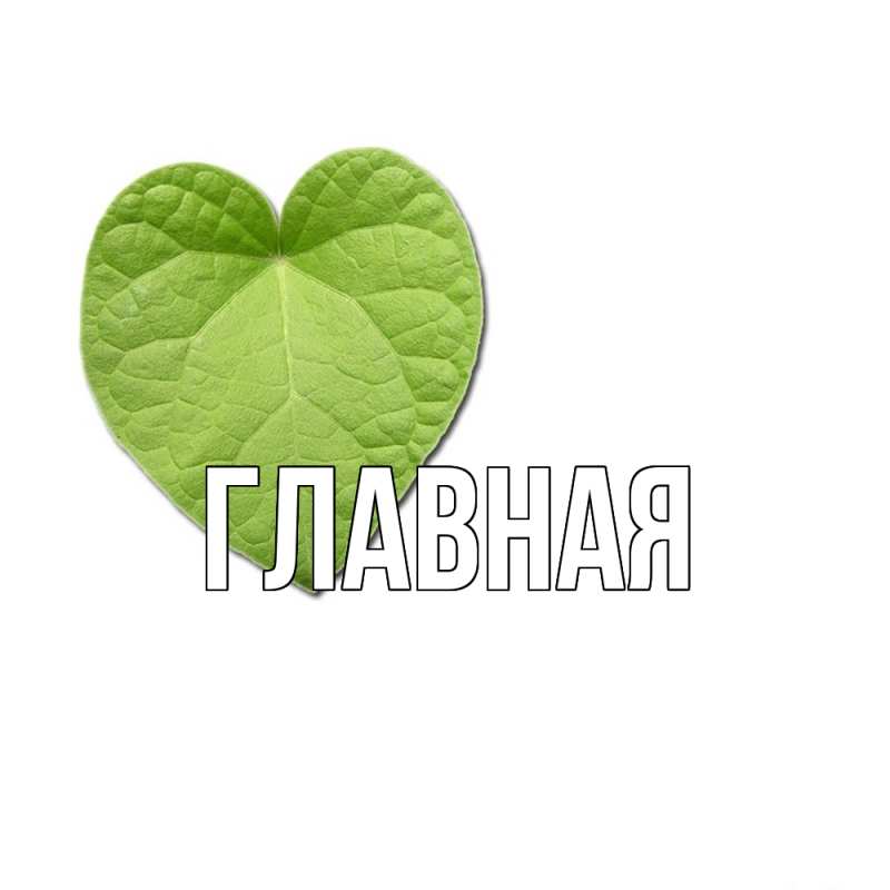 Картинка  с именем , настя