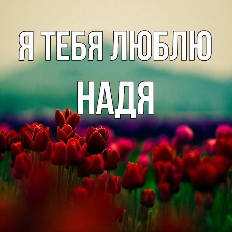 Картинка Я тебя люблю, Надя
