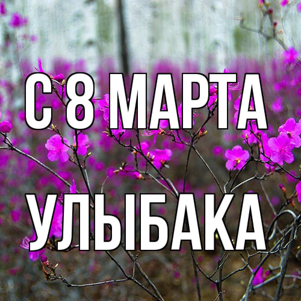 Открытка на каждый день с именем, Улыбака C 8 МАРТА дикие цветы Прикольная открытка с пожеланием онлайн скачать бесплатно 