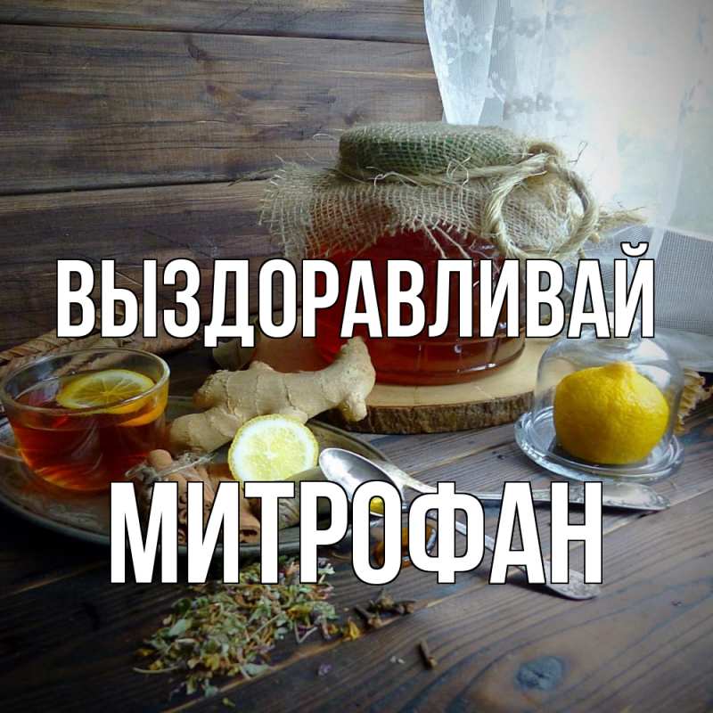 Картинка Выздоравливай, Митрофан