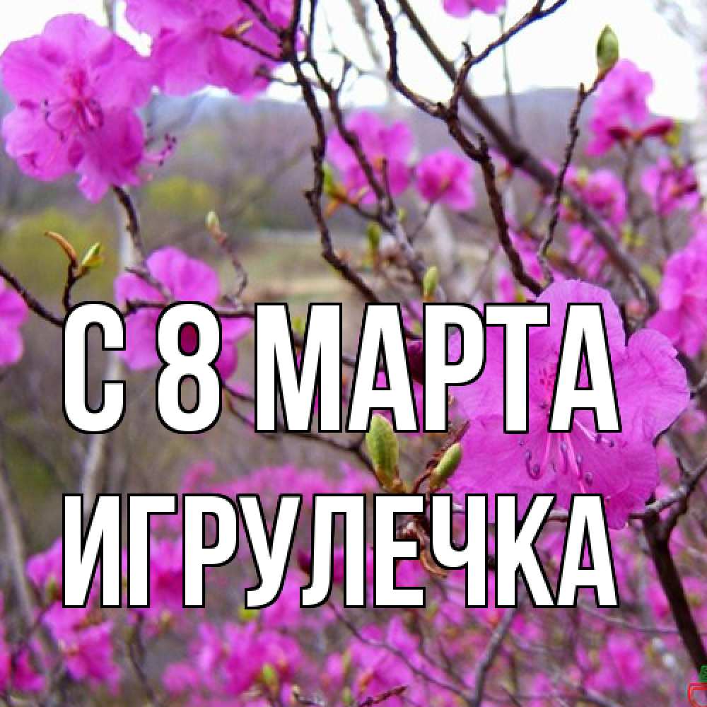 Открытка на каждый день с именем, Игрулечка C 8 МАРТА международный женский день Прикольная открытка с пожеланием онлайн скачать бесплатно 