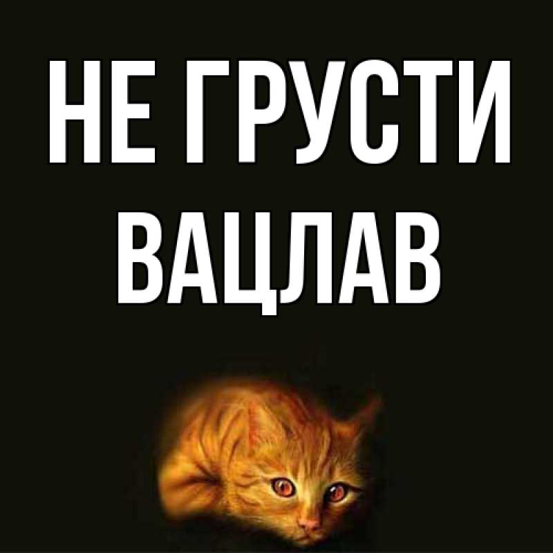 Картинка Не грусти, Вацлав