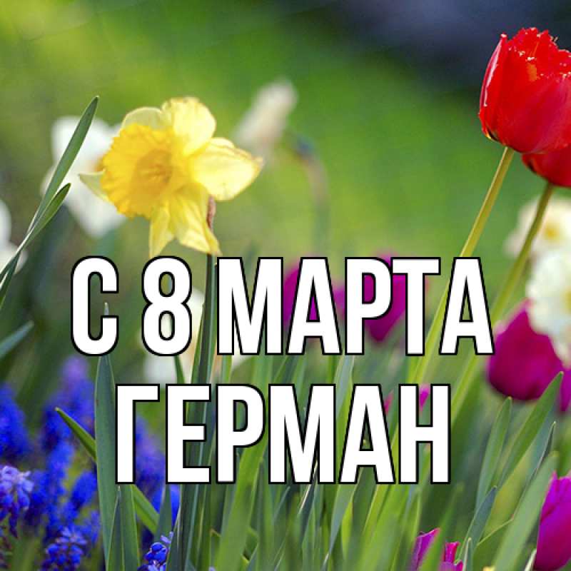 Картинка C 8 МАРТА, Герман
