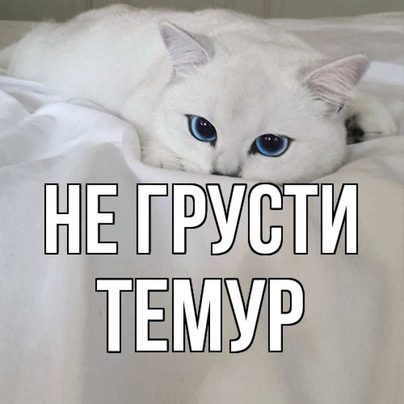 Картинка Не грусти, Темур