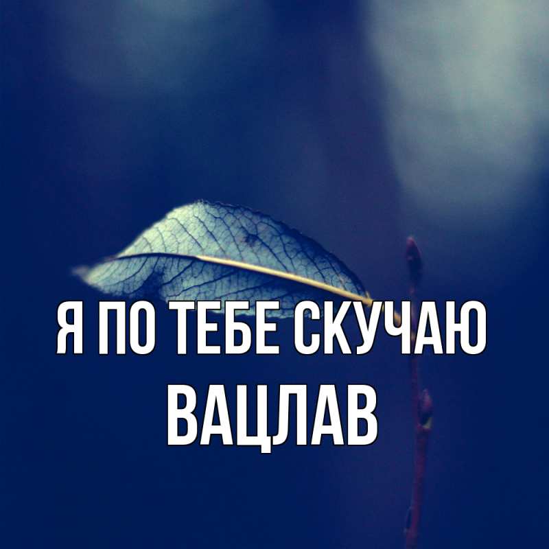 Картинка Я по тебе скучаю, Вацлав