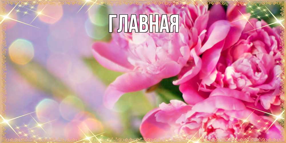 Открытка на каждый день с именем, настя Главная красивые открытки с текстом для любимых дам Прикольная открытка с пожеланием онлайн скачать бесплатно 