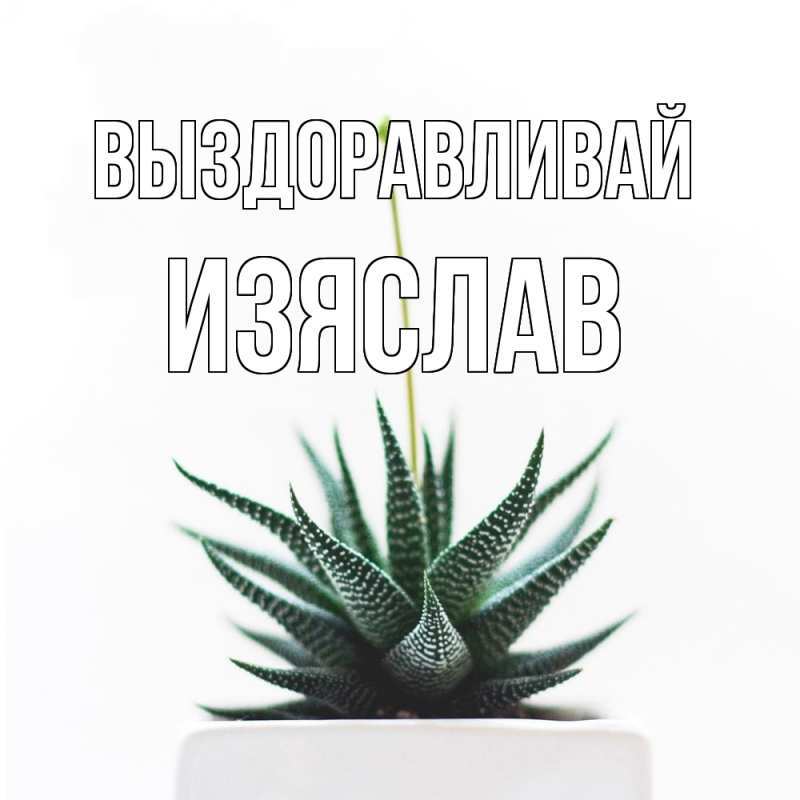 Картинка Выздоравливай, Изяслав