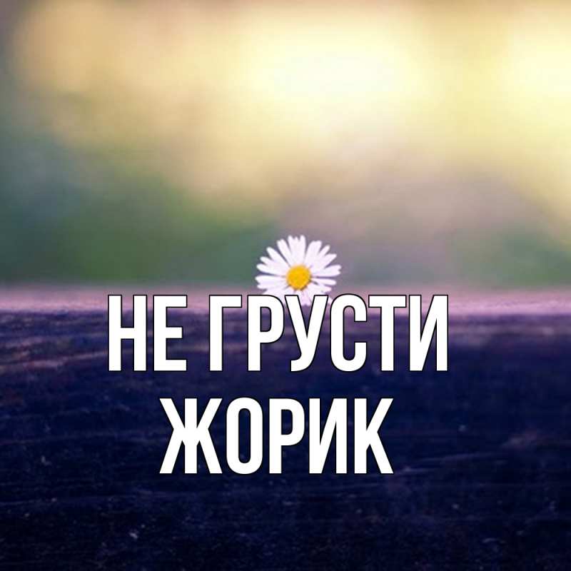 Картинка Не грусти, жорик