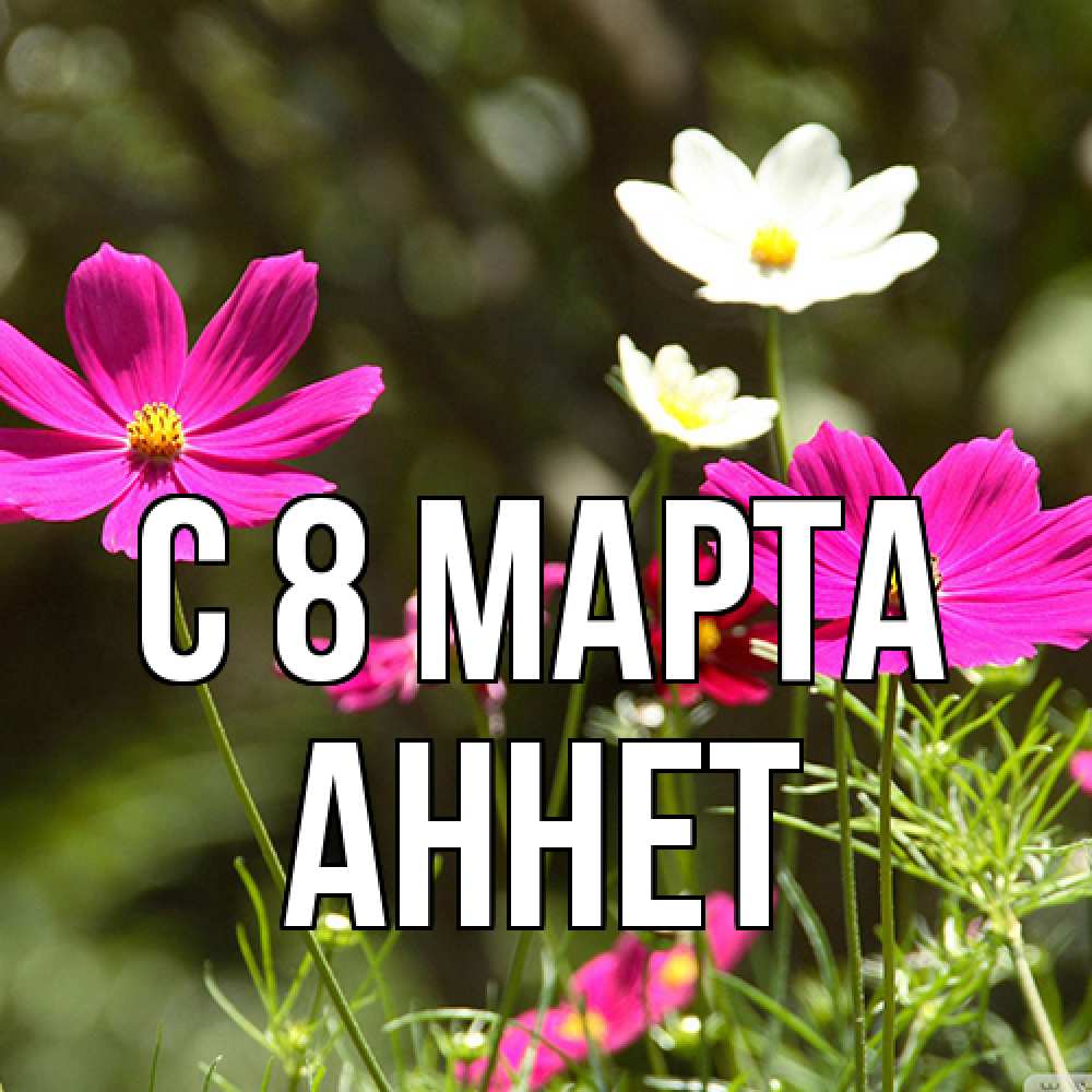 Открытка на каждый день с именем, Аннет C 8 МАРТА цветы Прикольная открытка с пожеланием онлайн скачать бесплатно 