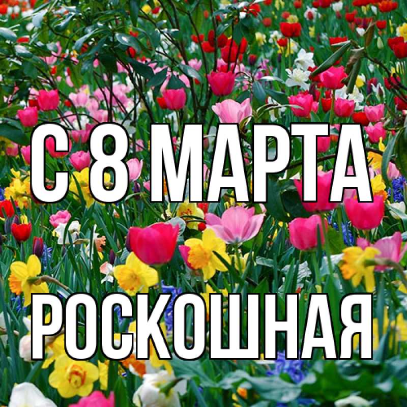 Картинка C 8 МАРТА, Роскошная