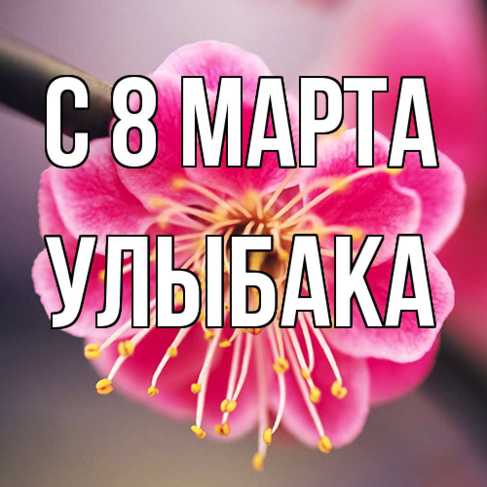 Открытка на каждый день с именем, Улыбака C 8 МАРТА цветы Прикольная открытка с пожеланием онлайн скачать бесплатно 