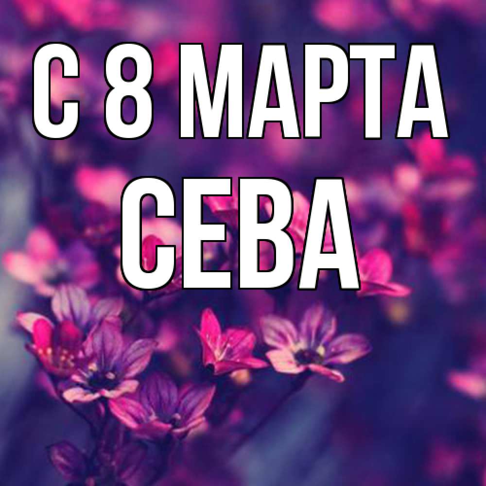 Открытка на каждый день с именем, Сева C 8 МАРТА небольшие цветы 1 Прикольная открытка с пожеланием онлайн скачать бесплатно 