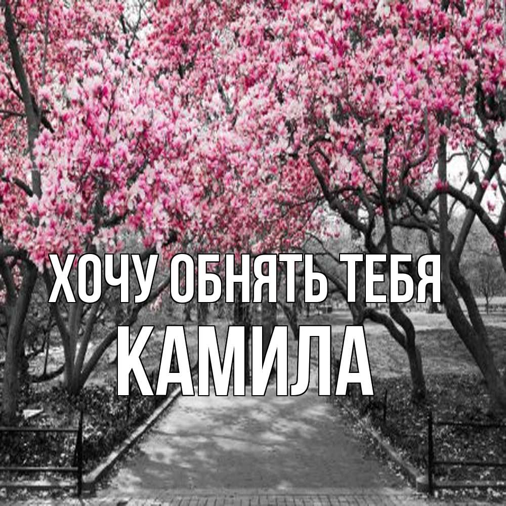 Открытка на каждый день с именем, Камила Хочу обнять тебя обработанное фото Прикольная открытка с пожеланием онлайн скачать бесплатно 