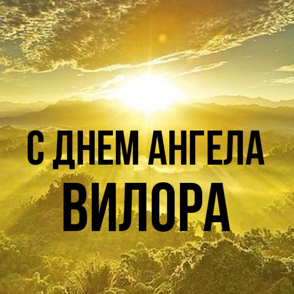 Открытка на каждый день с именем, Вилора С днем ангела леса и небо в желтом Прикольная открытка с пожеланием онлайн скачать бесплатно 