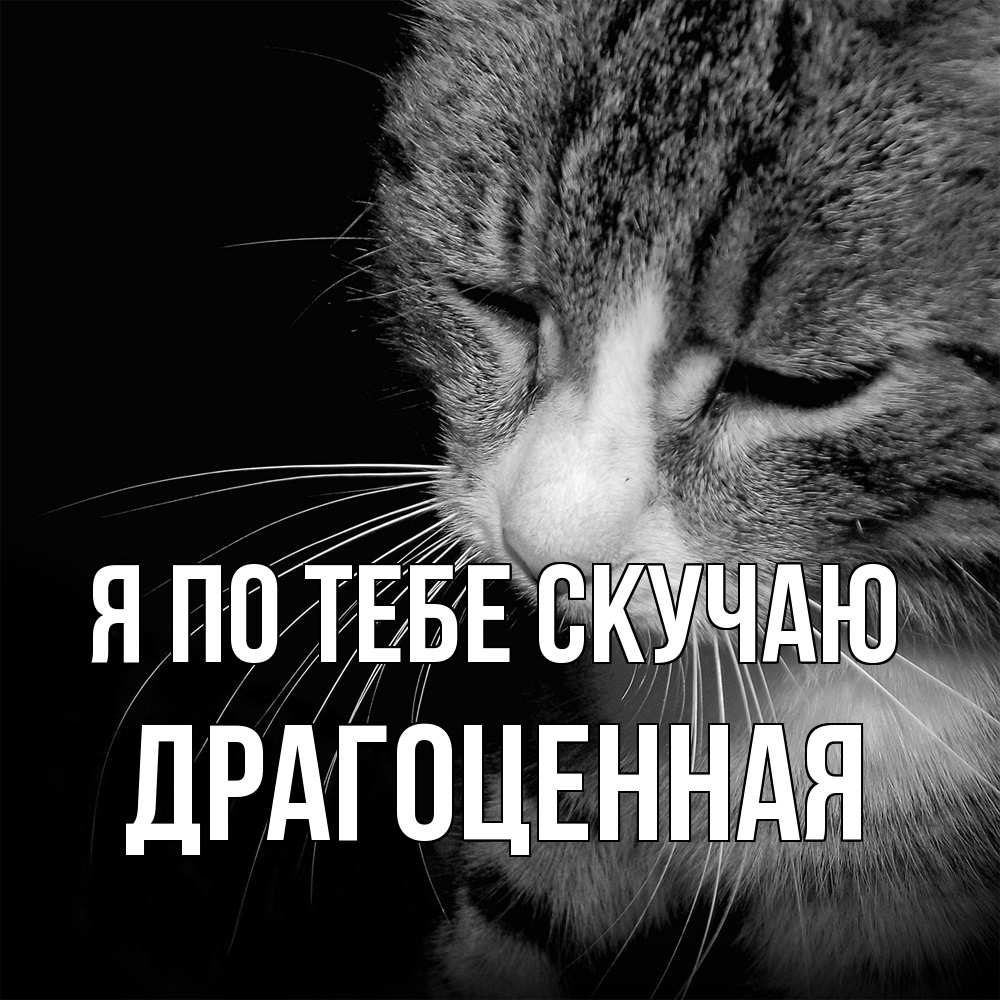 Открытка на каждый день с именем, Драгоценная Я по тебе скучаю мне скучно Прикольная открытка с пожеланием онлайн скачать бесплатно 