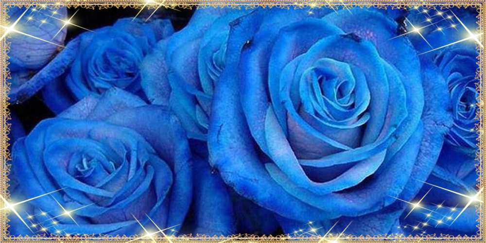 Открытка на каждый день с именем, Лепесток C 8 МАРТА как поздравить женщину на 8 марта. Конечно же нужно подарить ей открытку с нашего сайта Прикольная открытка с пожеланием онлайн скачать бесплатно 