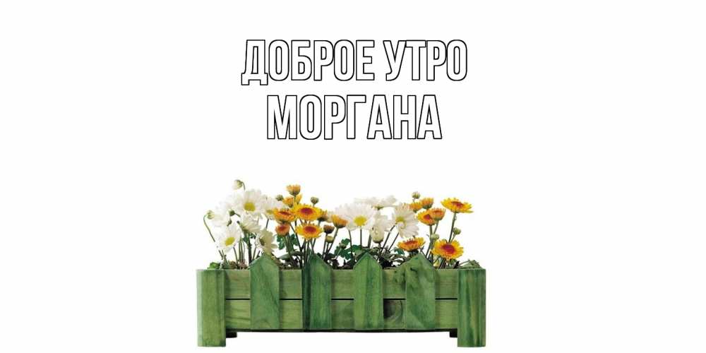 Открытка на каждый день с именем, Моргана Доброе утро цветы Прикольная открытка с пожеланием онлайн скачать бесплатно 