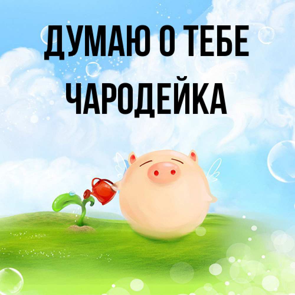 Открытка на каждый день с именем, Чародейка Думаю о тебе позитивная свинюшка Прикольная открытка с пожеланием онлайн скачать бесплатно 