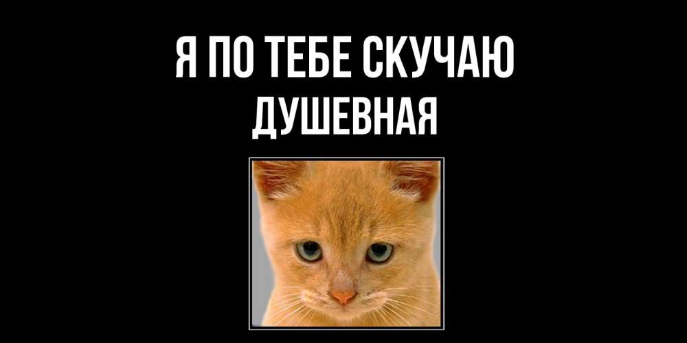Открытка на каждый день с именем, Душевная Я по тебе скучаю открытки рыжий котенок скучает по тебе Прикольная открытка с пожеланием онлайн скачать бесплатно 