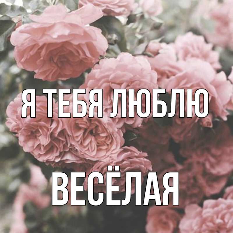 Картинка Я тебя люблю, Весёлая