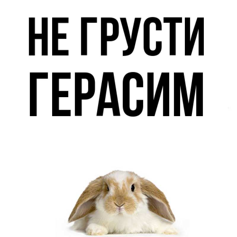 Картинка Не грусти, Герасим