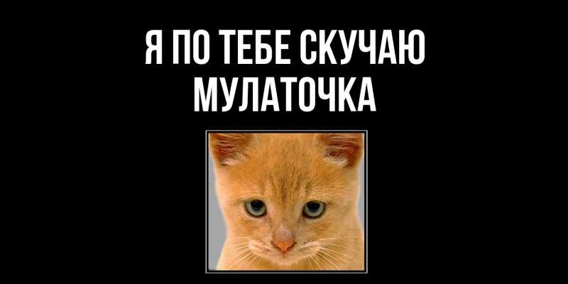 Картинка Я по тебе скучаю, Мулаточка