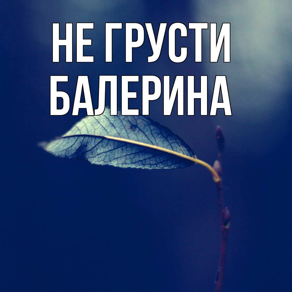 Открытка на каждый день с именем, Балерина Не грусти растение Прикольная открытка с пожеланием онлайн скачать бесплатно 
