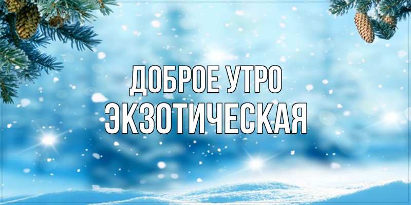 Картинка Доброе утро, Экзотическая