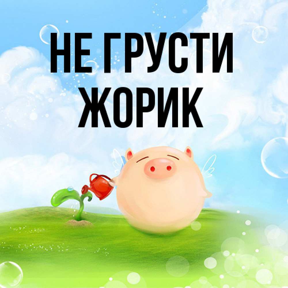Открытка на каждый день с именем, жорик Не грусти поливает цветок порося Прикольная открытка с пожеланием онлайн скачать бесплатно 