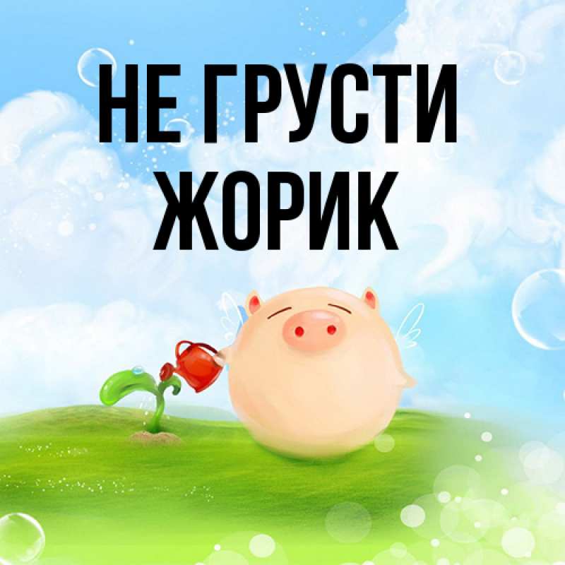 Картинка Не грусти, жорик