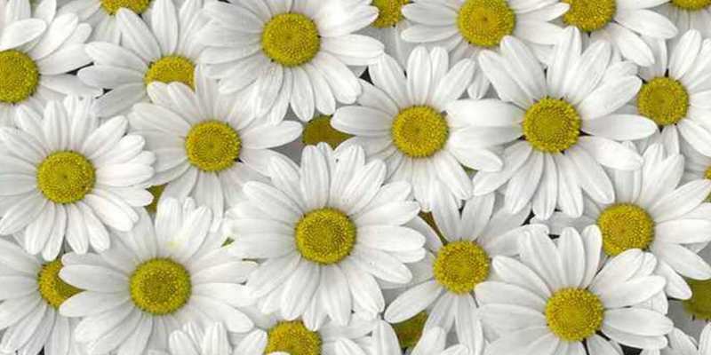 Открытка с именем, Алан, Хорошего настроения