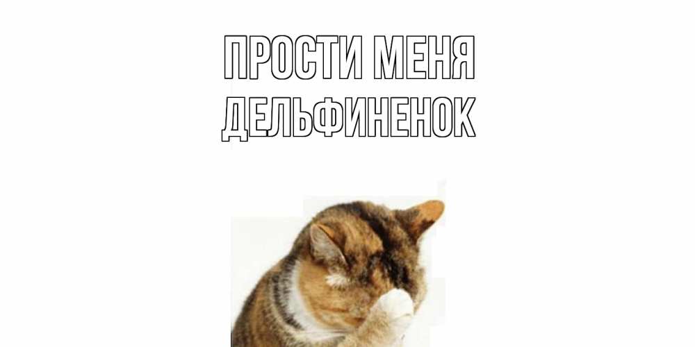 Открытка на каждый день с именем, дельфиненок Прости меня кот Прикольная открытка с пожеланием онлайн скачать бесплатно 