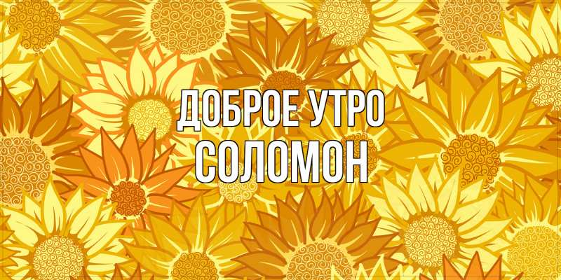 Картинка Доброе утро, Соломон