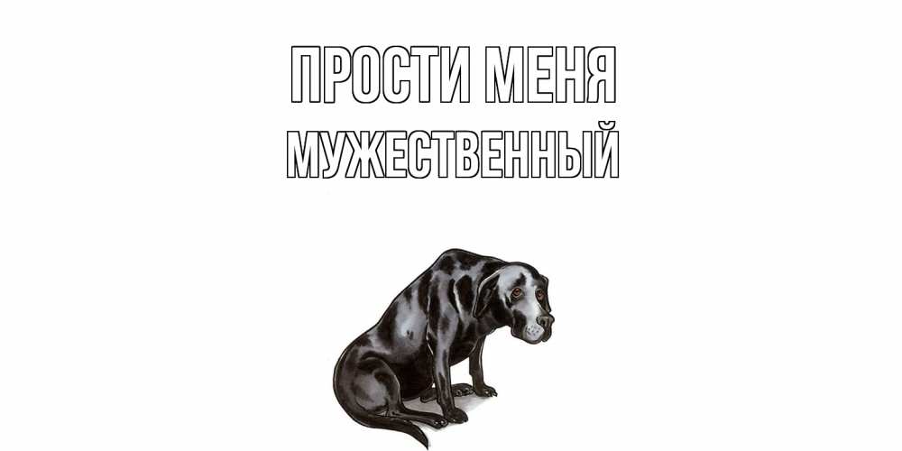 Открытка на каждый день с именем, Мужественный Прости меня грустная собака на открытке с подписью прости меня Прикольная открытка с пожеланием онлайн скачать бесплатно 