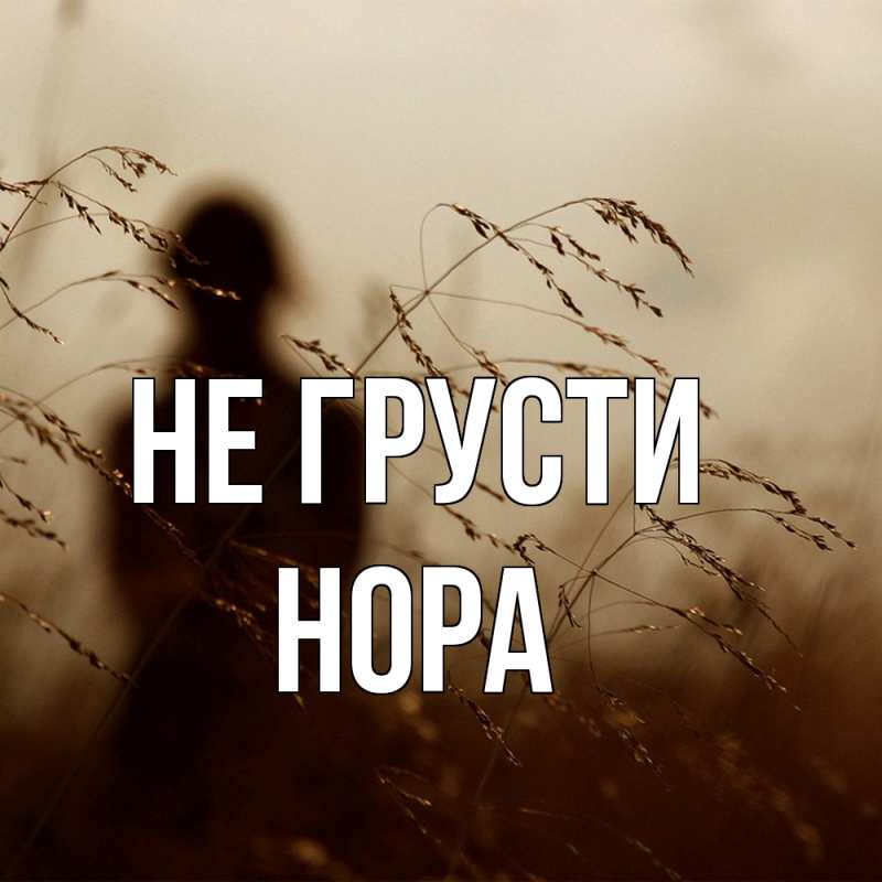 Картинка Не грусти, Нора