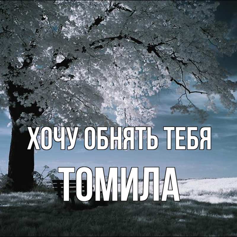 Картинка Хочу обнять тебя, Томила