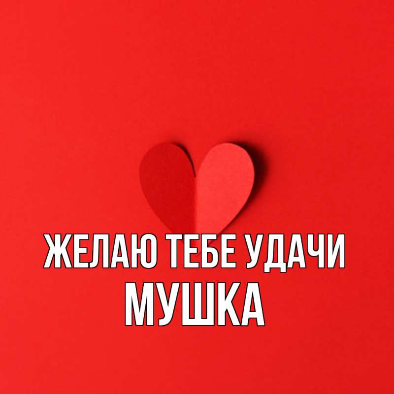 Картинка Желаю тебе удачи, мушка