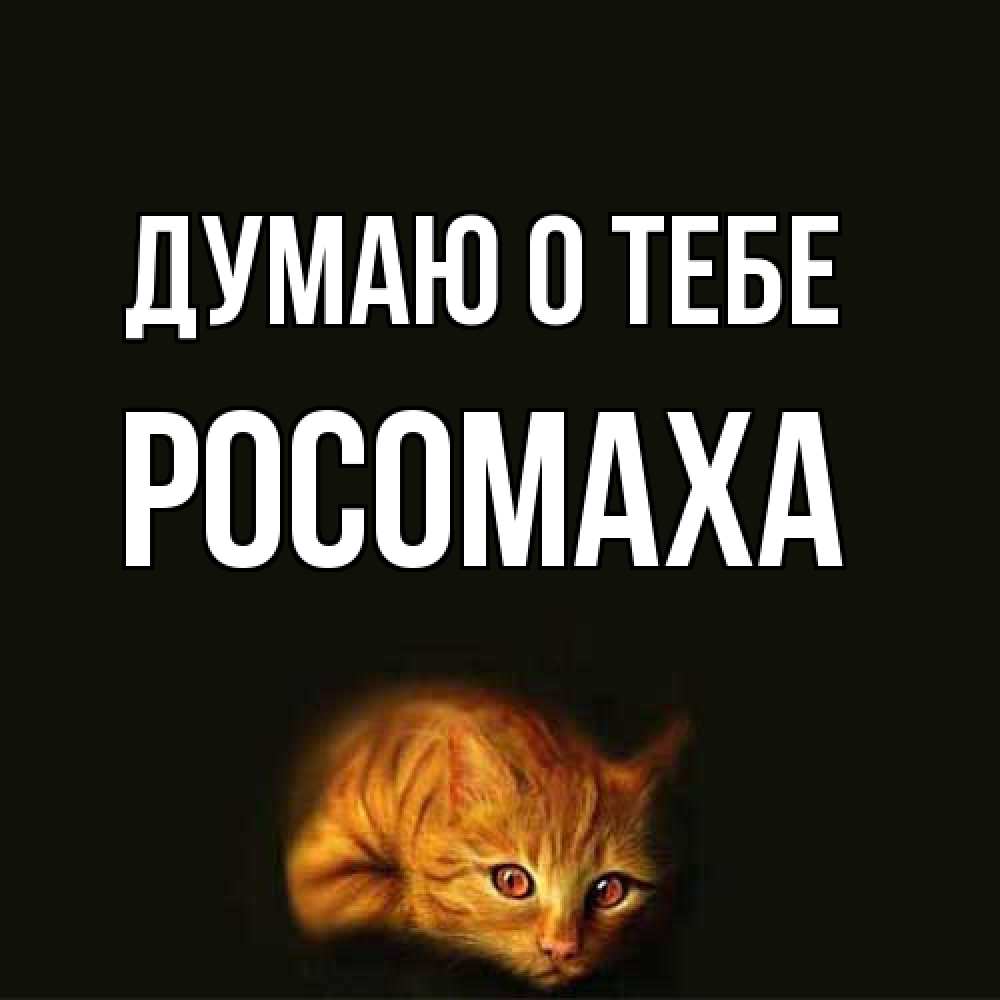 Открытка на каждый день с именем, Росомаха Думаю о тебе рыжий Прикольная открытка с пожеланием онлайн скачать бесплатно 