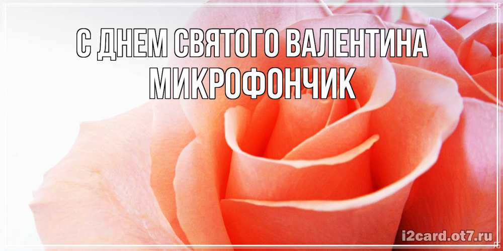 Открытка на каждый день с именем, Микрофончик С днем Святого Валентина открытка на день Святого Валентина с розовой розой Прикольная открытка с пожеланием онлайн скачать бесплатно 