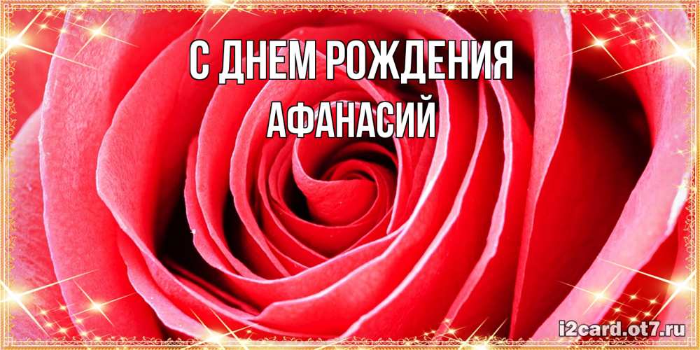 Открытка на каждый день с именем, Афанасий С днем рождения розовая роза очень крупный бутон Прикольная открытка с пожеланием онлайн скачать бесплатно 