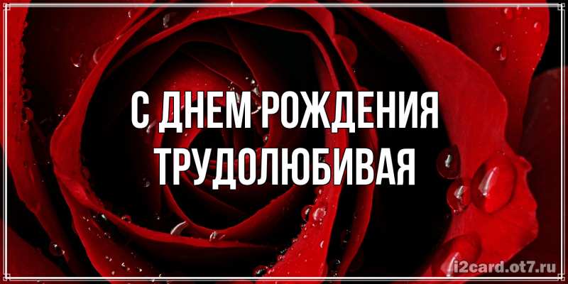 Картинка С днем рождения, Тpудолюбивая