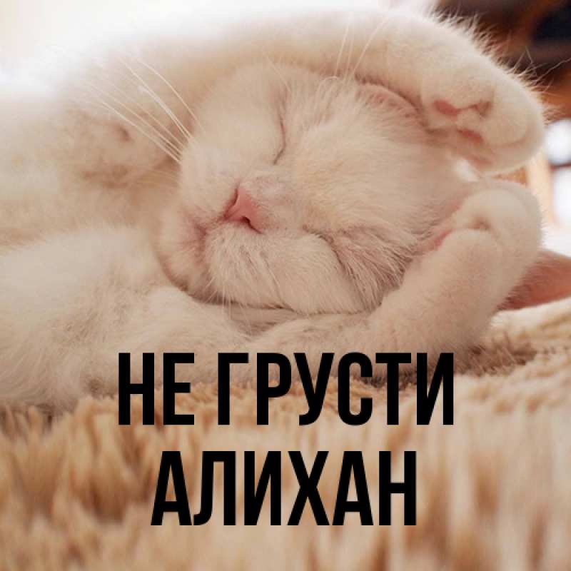 Картинка Не грусти, Алихан