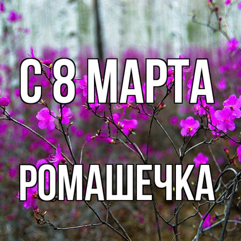 Картинка C 8 МАРТА, Ромашечка