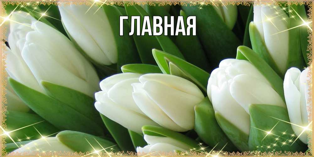 Открытка на каждый день с именем, Анна Главная поздравляем с 8 марта Прикольная открытка с пожеланием онлайн скачать бесплатно 