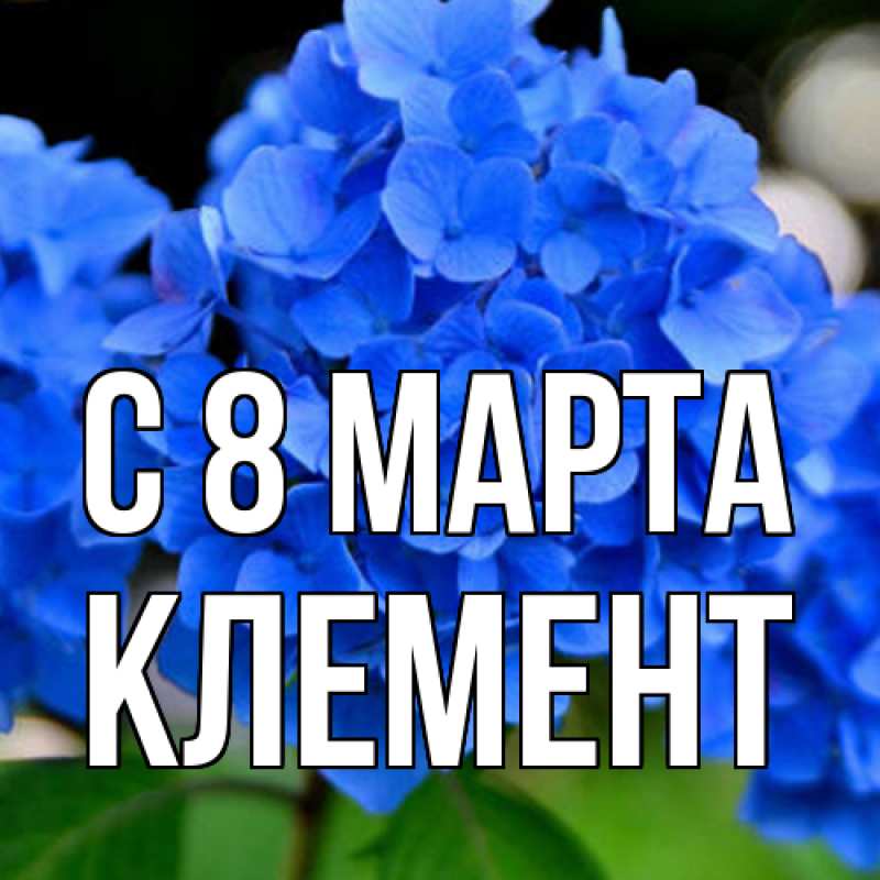 Картинка C 8 МАРТА, Клемент