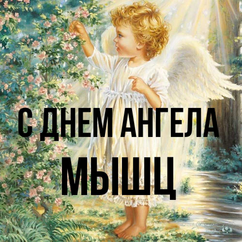 Открытка на каждый день с именем, Мышц С днем ангела собирает цветы Прикольная открытка с пожеланием онлайн скачать бесплатно 