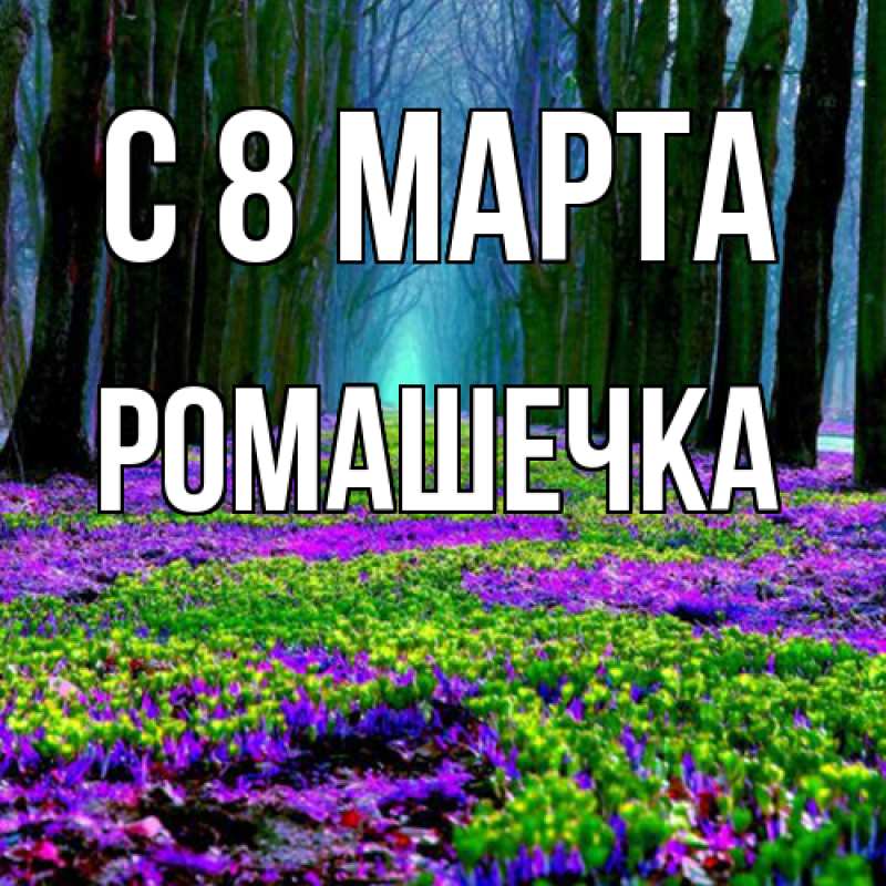 Картинка C 8 МАРТА, Ромашечка